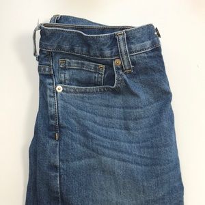 Everlane Modern Boyfriend jean